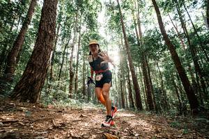 BIB: 
                            <button type="button" onclick="openModal(25261396)" class="btn btn-primary btn-sm float-right btn-popup" data-toggle="modal" data-target=".modal-high-quality">
                        <i class="fas fa-shopping-cart"></i> Add to Cart
                    </button>
                                            <button type="button" onclick="isThisMe(25261396, true)" class="btn btn-success btn-sm float-right btn-popup btn-isme hidden" data-toggle="tooltip" data-placement="bottom" title="นี่คือรูปของคุณใช่ไหม คลิกที่นี่เพื่อเอาเข้าอัลบั้ม">
                        <i class="fas fa-plus"></i> Add to album
                    </button>
                    <button type="button" onclick="isThisMe(25261396, false)" class="btn btn-warning btn-sm float-right btn-popup btn-isnotme hidden">
                        <i class="fas fa-ban"></i> Remove from album
                    </button>